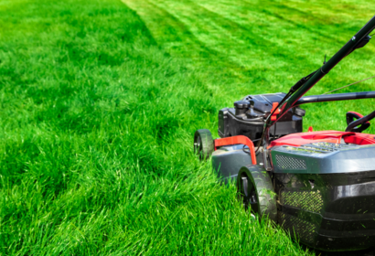 serviço de jardinagem